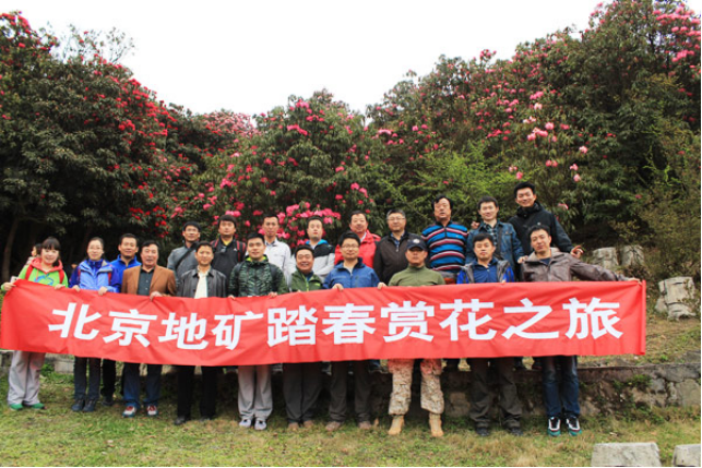 1655256064732702.png image.png